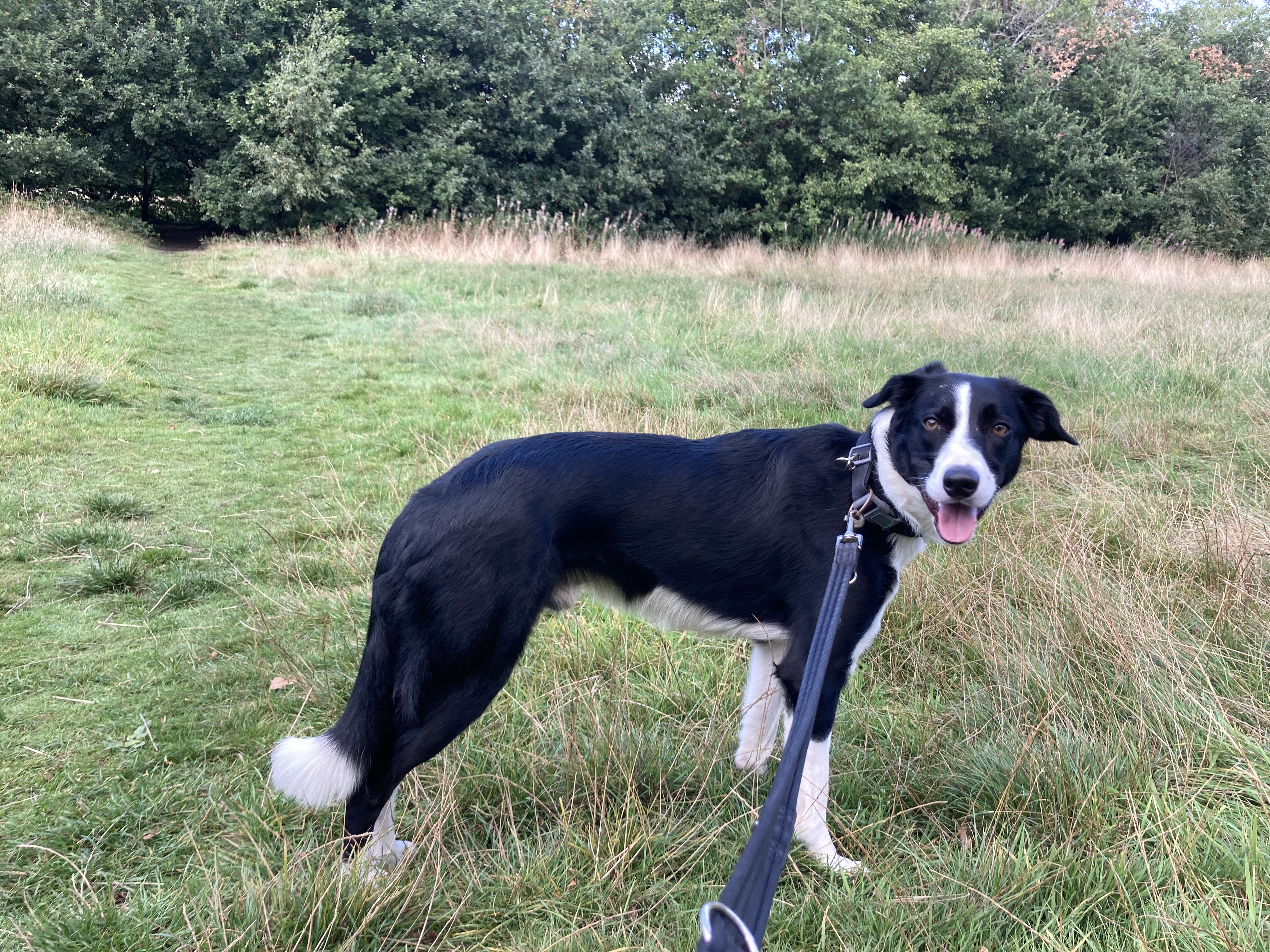 A1062767-275C-4231-97FD-B4B64D994FF6