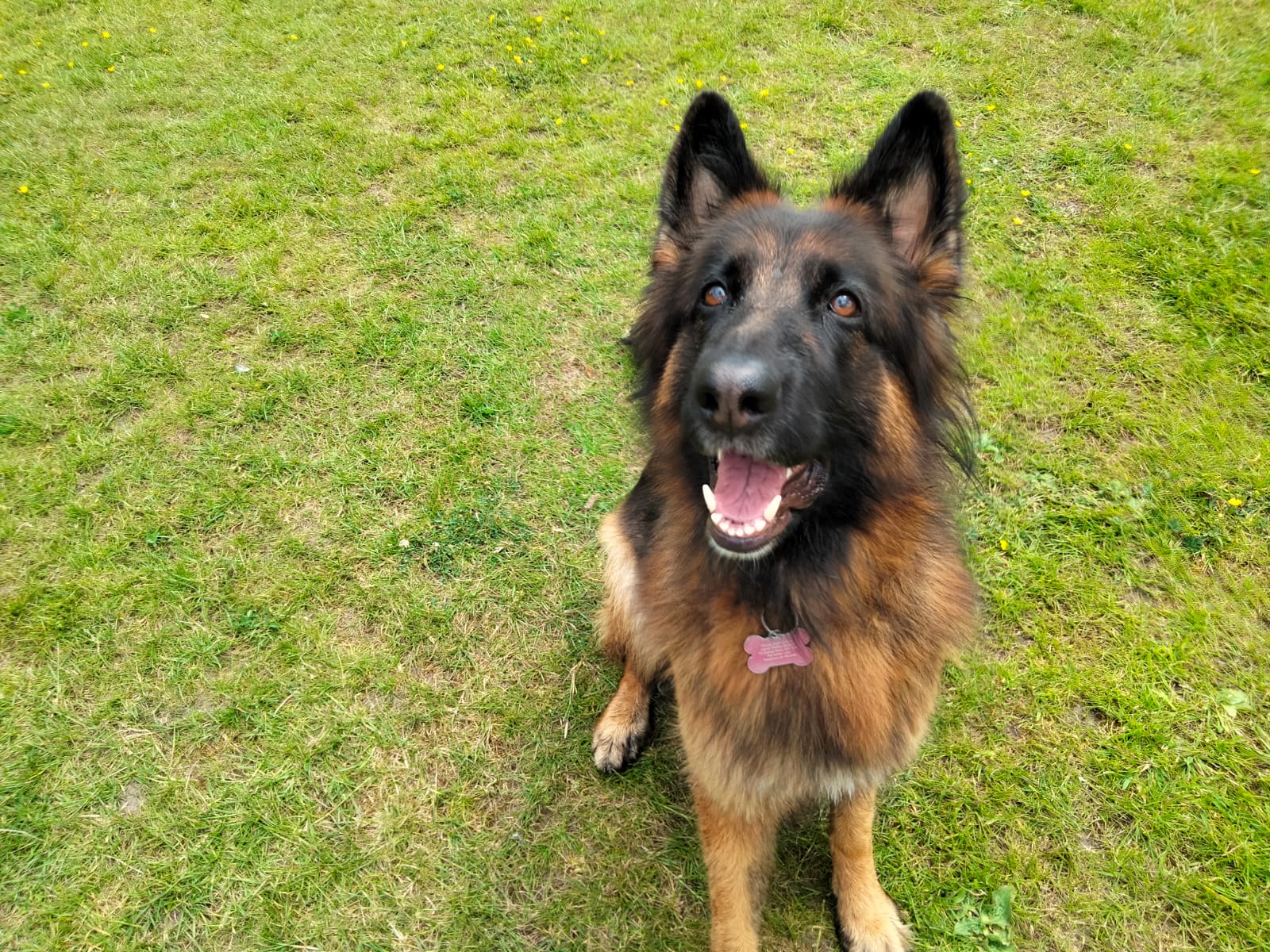 FC85C5AD-81B2-406C-975F-5A36B342140A